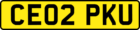 CE02PKU