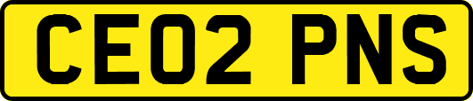 CE02PNS