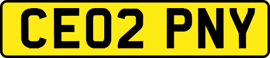 CE02PNY
