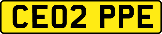 CE02PPE