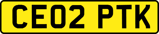 CE02PTK