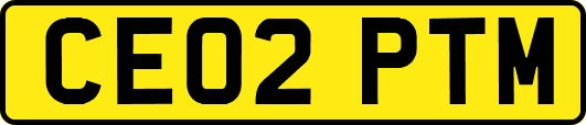 CE02PTM