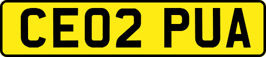 CE02PUA