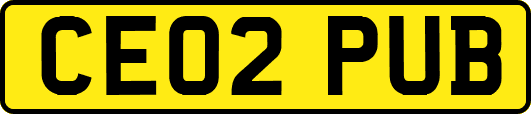 CE02PUB