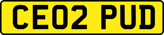 CE02PUD