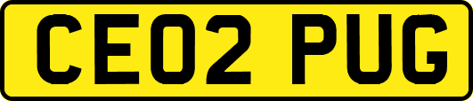 CE02PUG