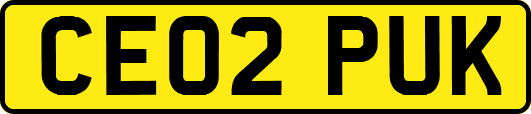 CE02PUK