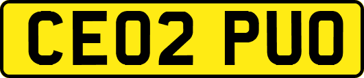 CE02PUO