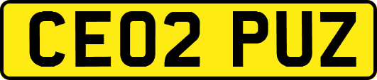 CE02PUZ