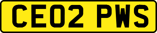 CE02PWS