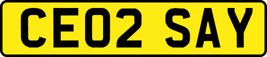 CE02SAY