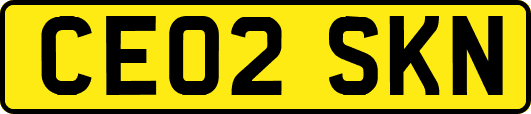 CE02SKN