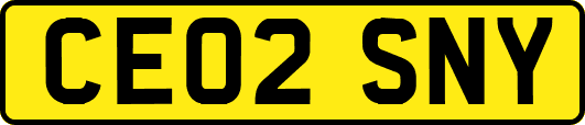 CE02SNY