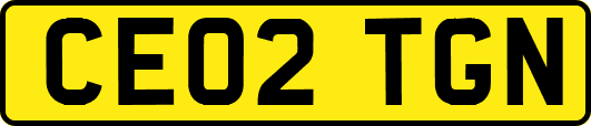 CE02TGN