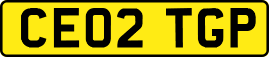 CE02TGP