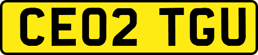 CE02TGU