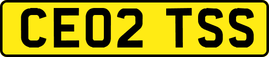 CE02TSS