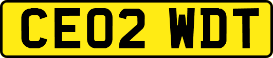 CE02WDT