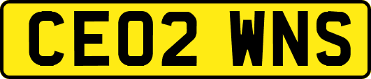 CE02WNS