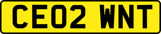 CE02WNT