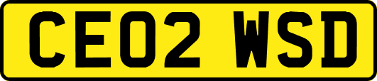CE02WSD
