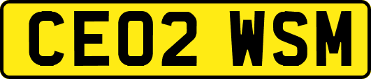 CE02WSM