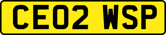 CE02WSP
