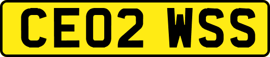 CE02WSS