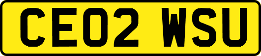 CE02WSU