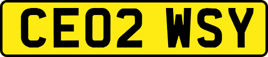 CE02WSY