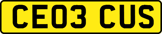 CE03CUS