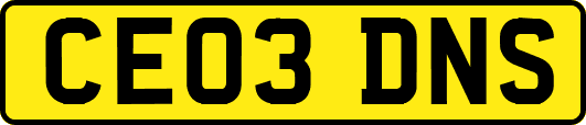 CE03DNS