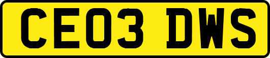 CE03DWS