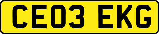 CE03EKG