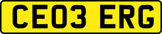 CE03ERG