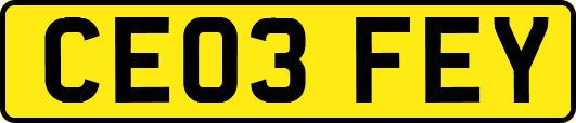CE03FEY