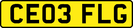 CE03FLG