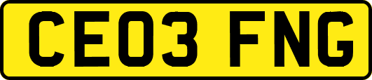 CE03FNG