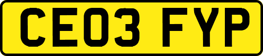 CE03FYP