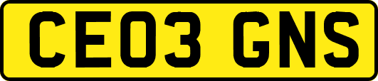 CE03GNS