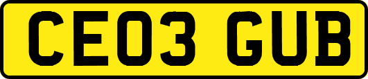 CE03GUB