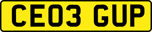 CE03GUP