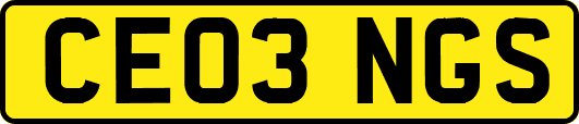 CE03NGS