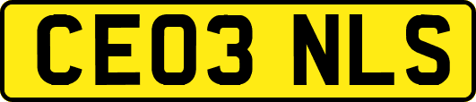 CE03NLS