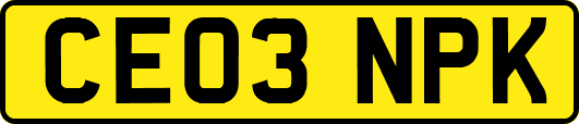 CE03NPK
