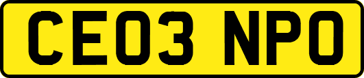 CE03NPO