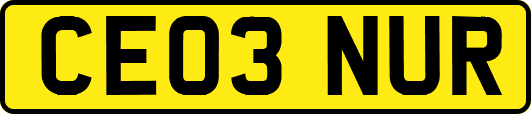 CE03NUR