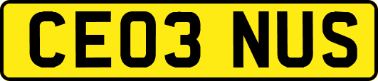 CE03NUS