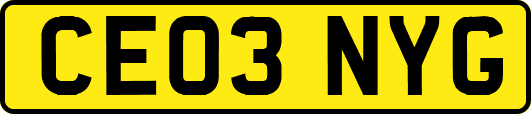 CE03NYG