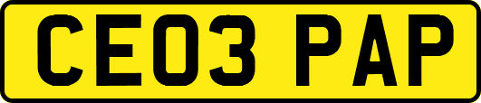 CE03PAP